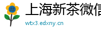 上海新茶微信